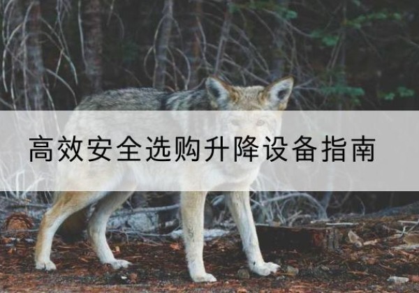 宁县升降货梯厂家推荐-*安全选购升降设备指南