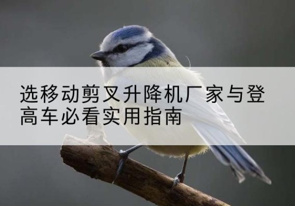 宁县电动升降机厂家-选移动剪叉升降机厂家与登高车必看实用指南