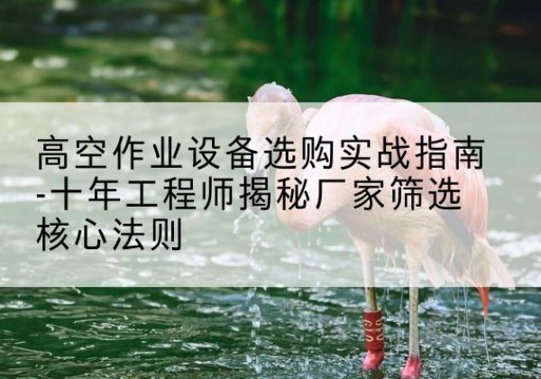 宁县剪叉式升降机厂家-高空作业设备选购实战指南-十年工程师揭秘厂家筛选核心法则